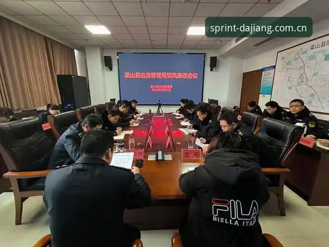 大江体育平台2024最新动态：专业体育数据查询工具的全面升级